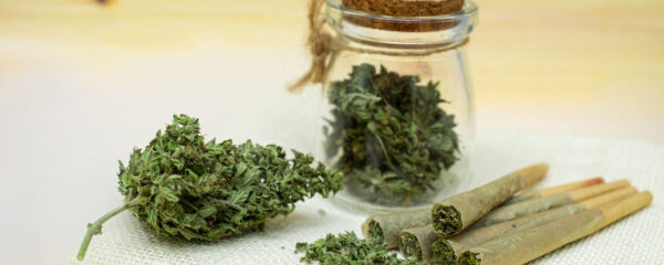 pré rolls CBD avec fleurs de CBD