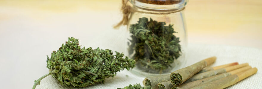 pré rolls CBD avec fleurs de CBD